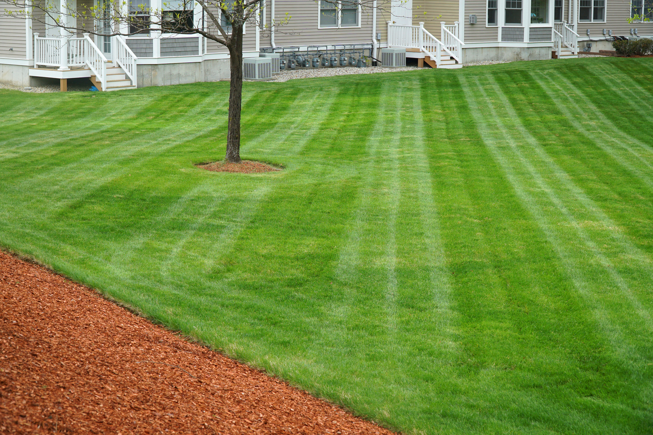 apartment building with mowed green front lawn